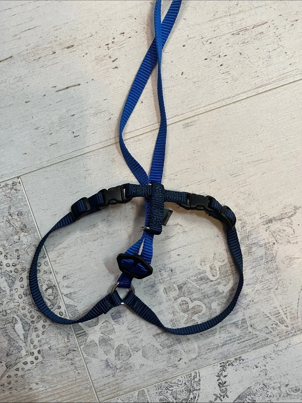 Petsafe Blue Cat Harness and Leash Size Large